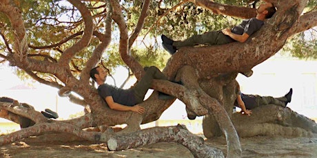 Tree Confessions: get the link, sit by a tree, & listen any time that day