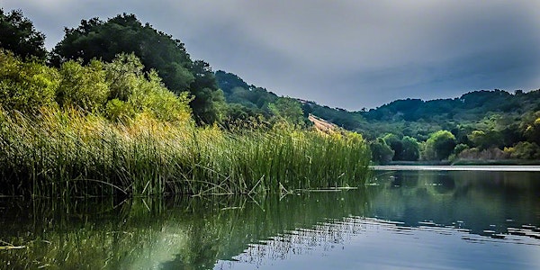 Nourish in Nature