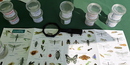 Brook Explorers: Bug-hunting at Grassmoor