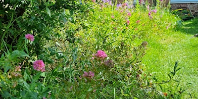 Open Garden at Mike's Burbage Garden primary image