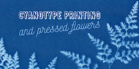 Cyanotype Printing and Pressed Flowers