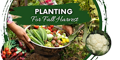 Planting for Fall Harvest