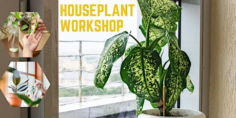Houseplant Workshop