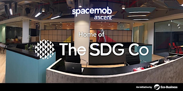 The SDG Co Launch Party