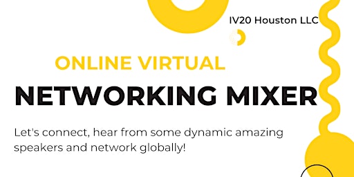 Virtual Professional Networking Mixer