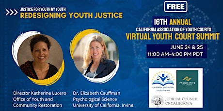 Redesigning Youth Justice:16th Annual Youth Court Summit  June 24 & 25 tickets