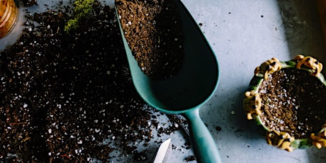 Make Your Own Potting Soil & Starting Fall Seedlings