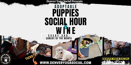 Adoptable Puppy Social Hour & Wine tickets