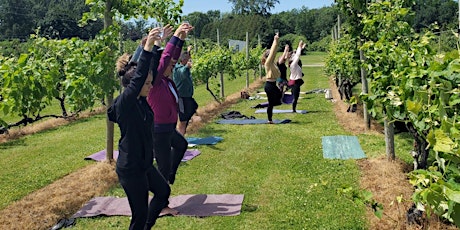 July Wine Yoga at Young Sommer Winery