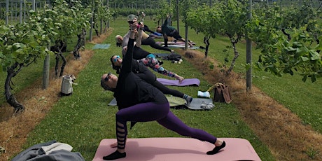 August Wine Yoga at Young Sommer Winery