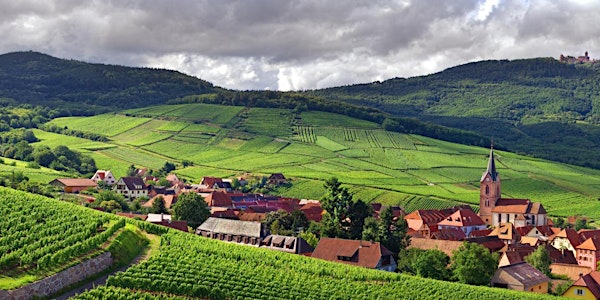 What I Did on my Summer Vacation -  Alsace
