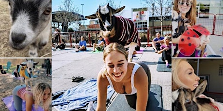 Goat Yoga @ The Foundry!