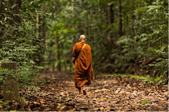 Forest Monk's Trail to a Serene Temple tickets