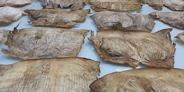 London History Day: The Great Parchment Book