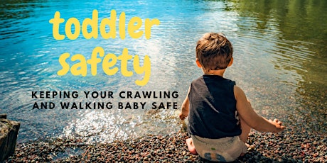 Safety for Crawling & Walking Babies