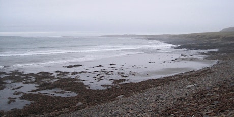 Creative workshop along the Warebeth shoreline with Fiona Sanderson and Katherine Diaper primary image