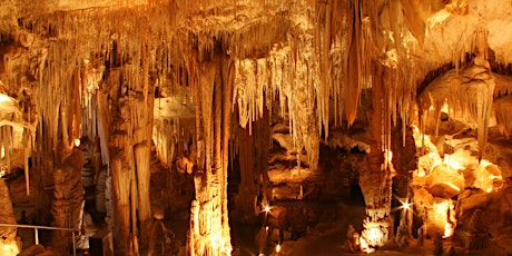 Come & Experience | Tantanoola Caves tickets
