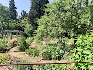 Visite de l'été du Jardin : "Le Jardin comestible permaculturel" billets