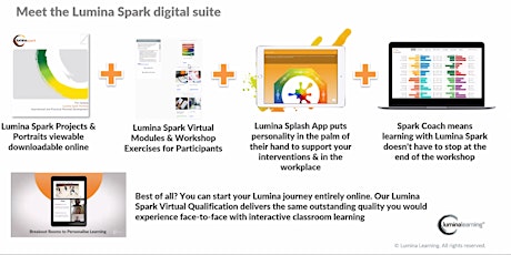 Introduction to Lumina Spark tickets
