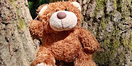 Swanwick Lakes Wildlife Tots:  Teddy Bear Picnic! tickets