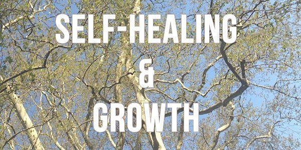 Somatic Based Empathy for Self-Healing and Growth
