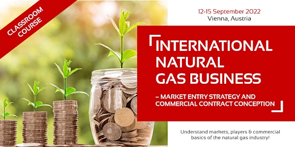 International Natural Gas Business - Market Entry Strategy