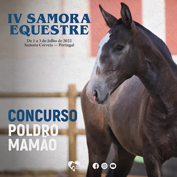 imagem IV Samora Equestre