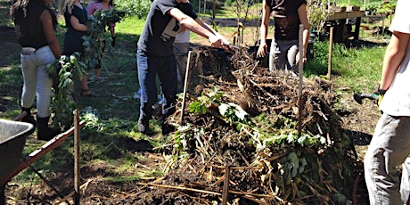 Brown Gold: Building Better Compost the Biointensive Way primary image