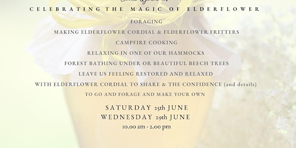 Celebrating summer - Elderflower woodland workshop