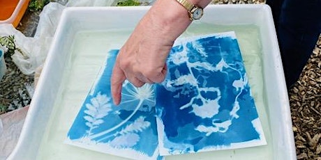 Eco-Photography in Bexley - Cyanotypes Workshop tickets