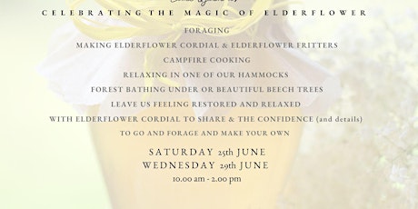Copy of Celebrating summer - Elderflower woodland workshop tickets