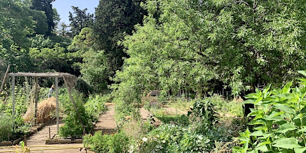 Visite de l'été du Jardin : "Le Jardin comestible permaculturel"