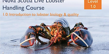 Lobster Handling Course, Version 1.0
