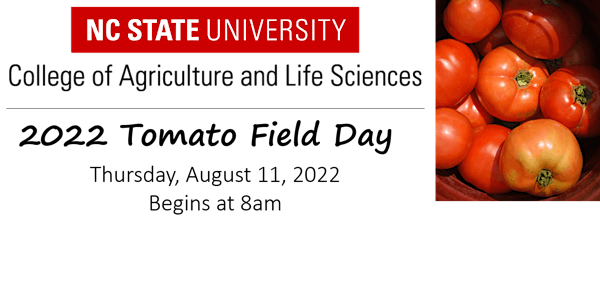 MHCREC Tomato Field Day