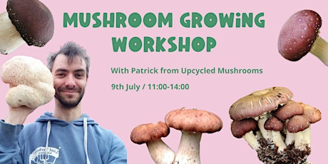 Learn how to grow edible mushrooms on your patch! tickets