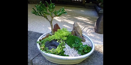 Miniature Japanese garden workshop tickets