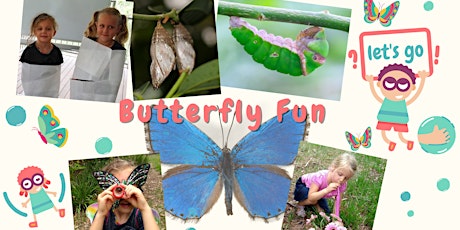 Butterfly fun and exploration for kids