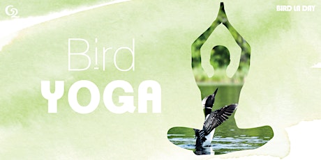 Bird Yoga primary image