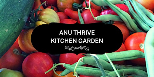 Wednesday mornings in the ANU Thrive Kitchen Garden