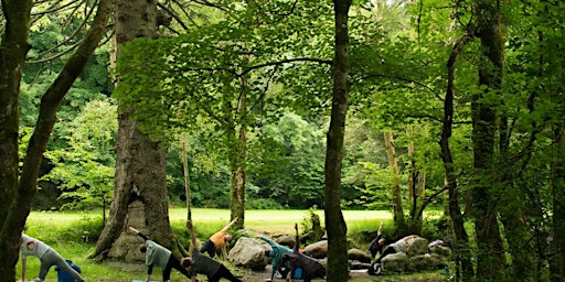 Lughnasadh Full Day Yoga & Nature Retreat