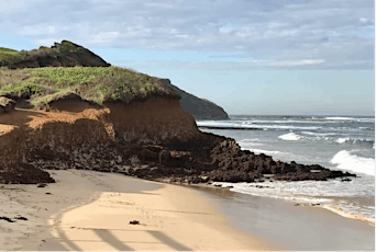 Sounds of the Sea - A Coastal Walk with Beach & Birds - Sydney, Australia tickets
