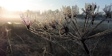 Winterwandeling over de heide primary image