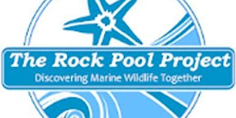 Rock Pool Project, 5-11 years, Penzance tickets
