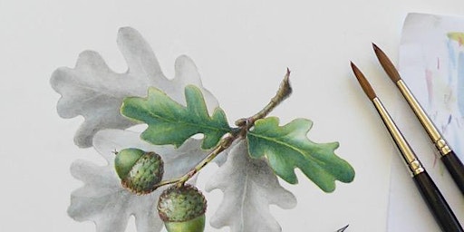Botanical Drawing and Illustration Techniques