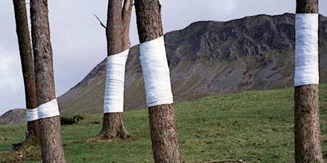 Hauptbild für i Totem delle Stanze di Natura