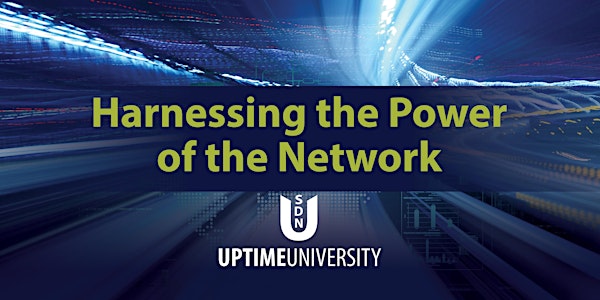 Harness The Power Of The Network