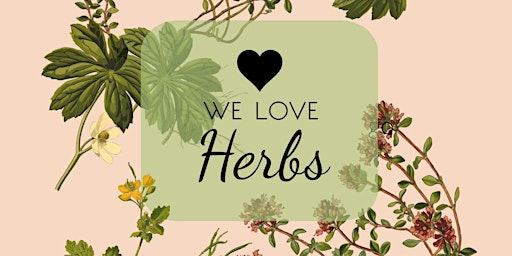 Seeding, Growing & Harvesting Herbs for Healing