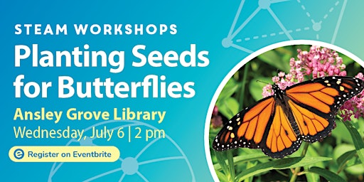 STEAM Workshops: Planting Seeds for Butterflies