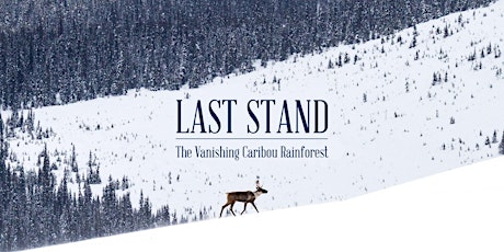 Last Stand: The Vanishing Caribou Rainforest primary image
