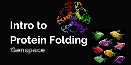 Intro to Protein Folding